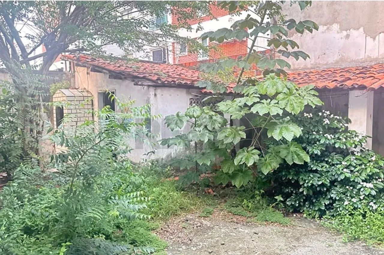 Terreno Comercial: Oportunidade no Dionísio Torres - Foto 3