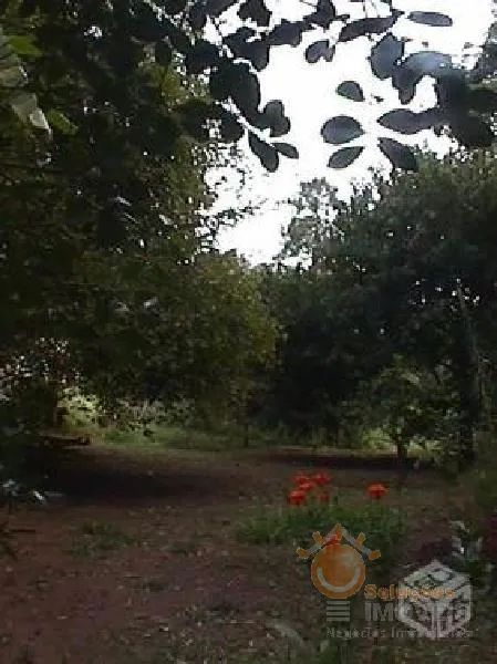VENDA - CHÁCARA PAULAS E MENDES / PIEDADE/SP - Foto 4