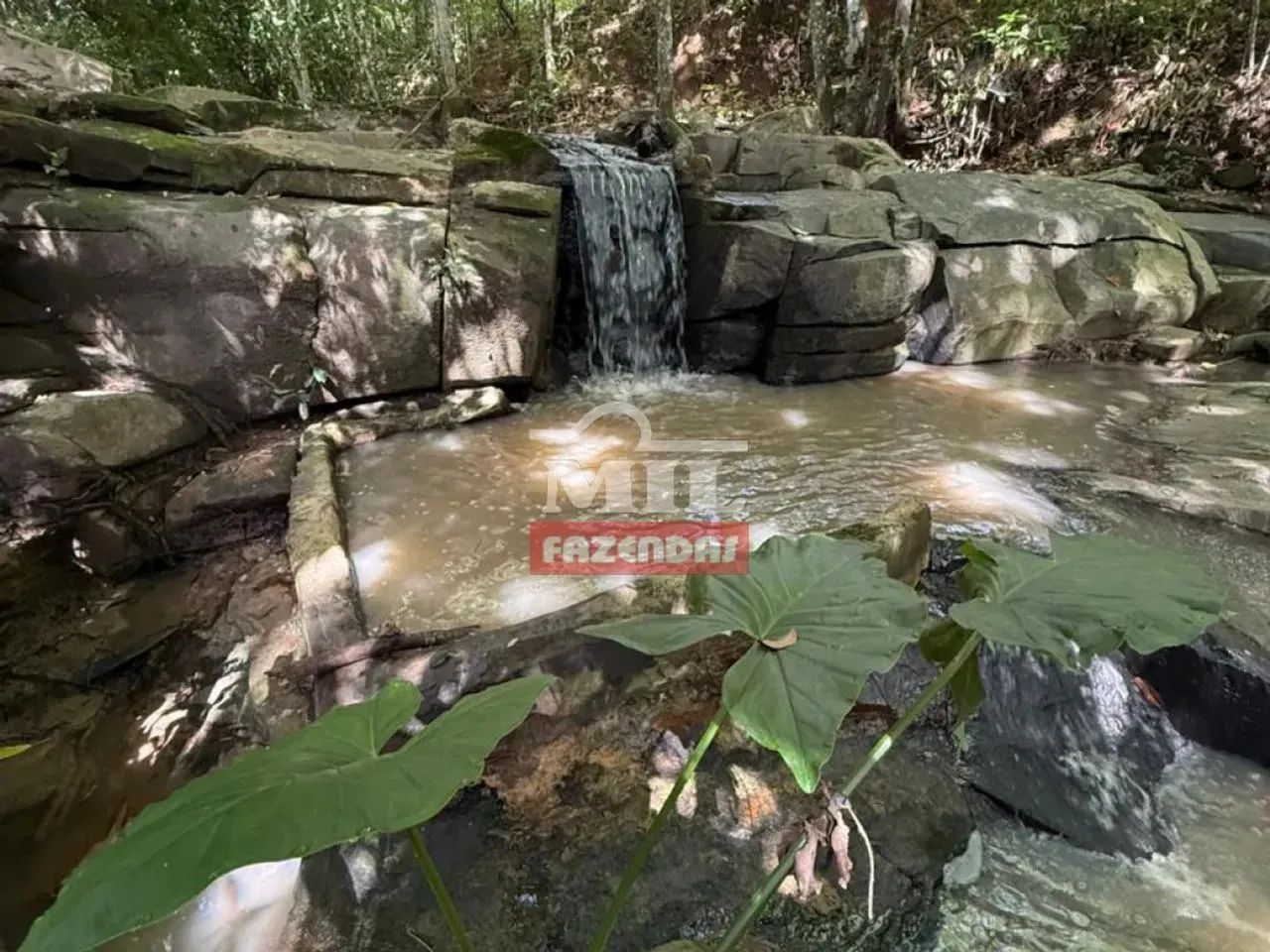 Chácara de 8.470M² em Crominia - Go - Foto 5