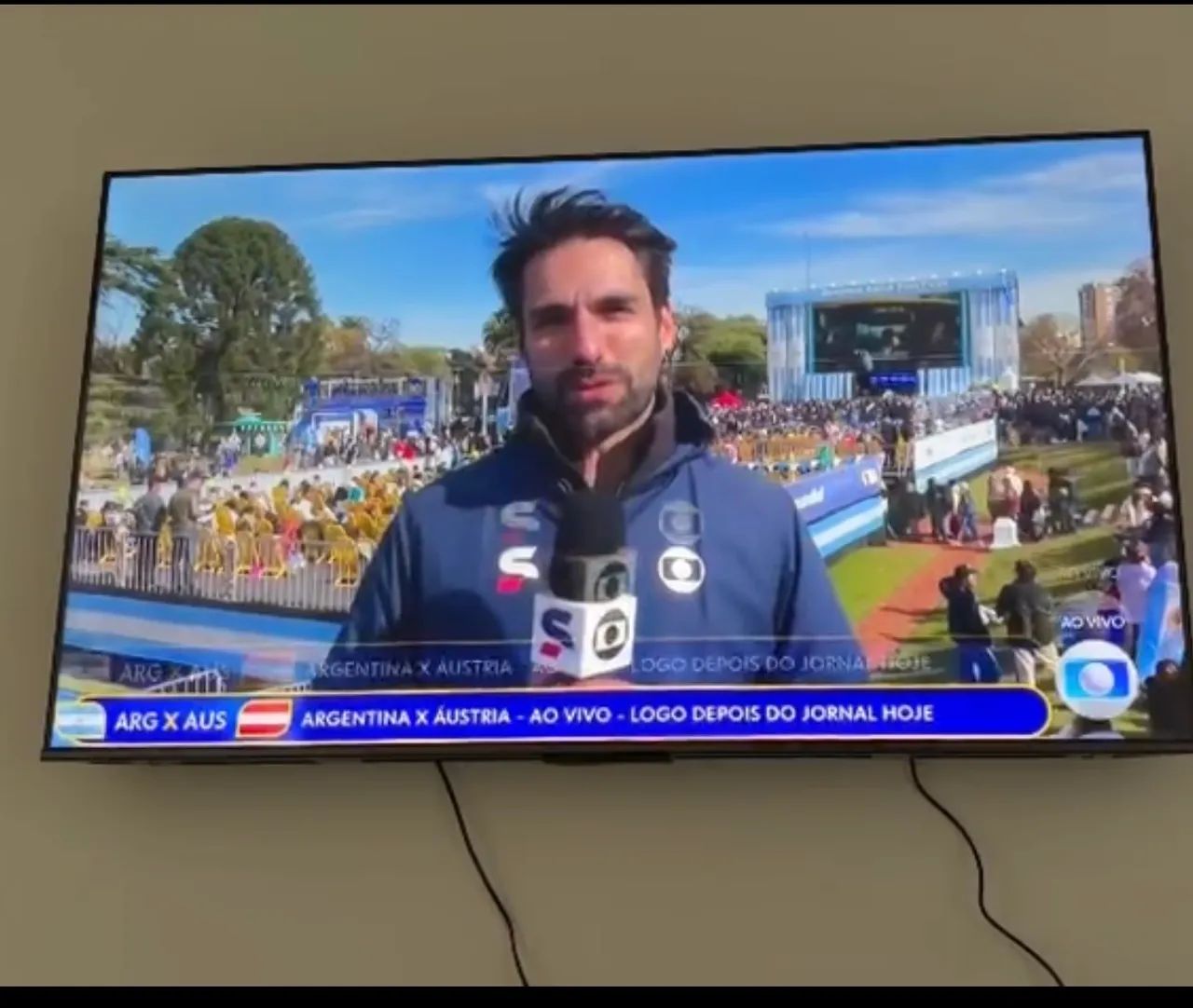 TV TCL COM DEFEITO
