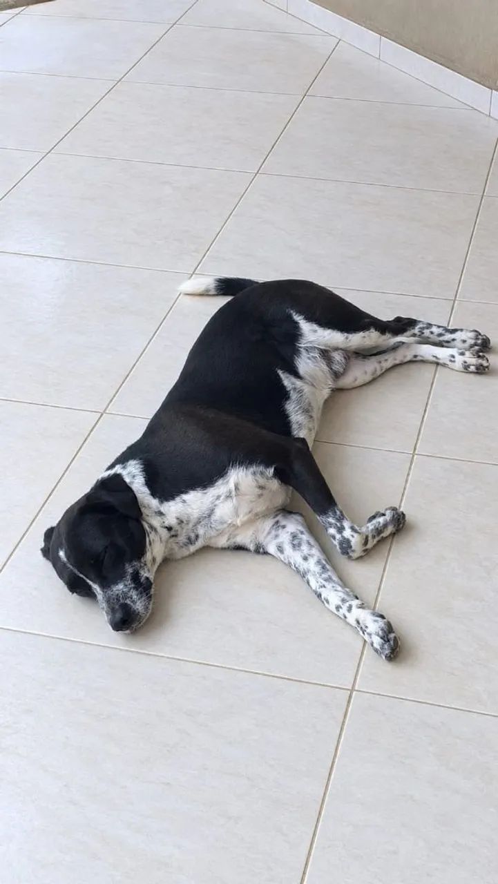 Doação 