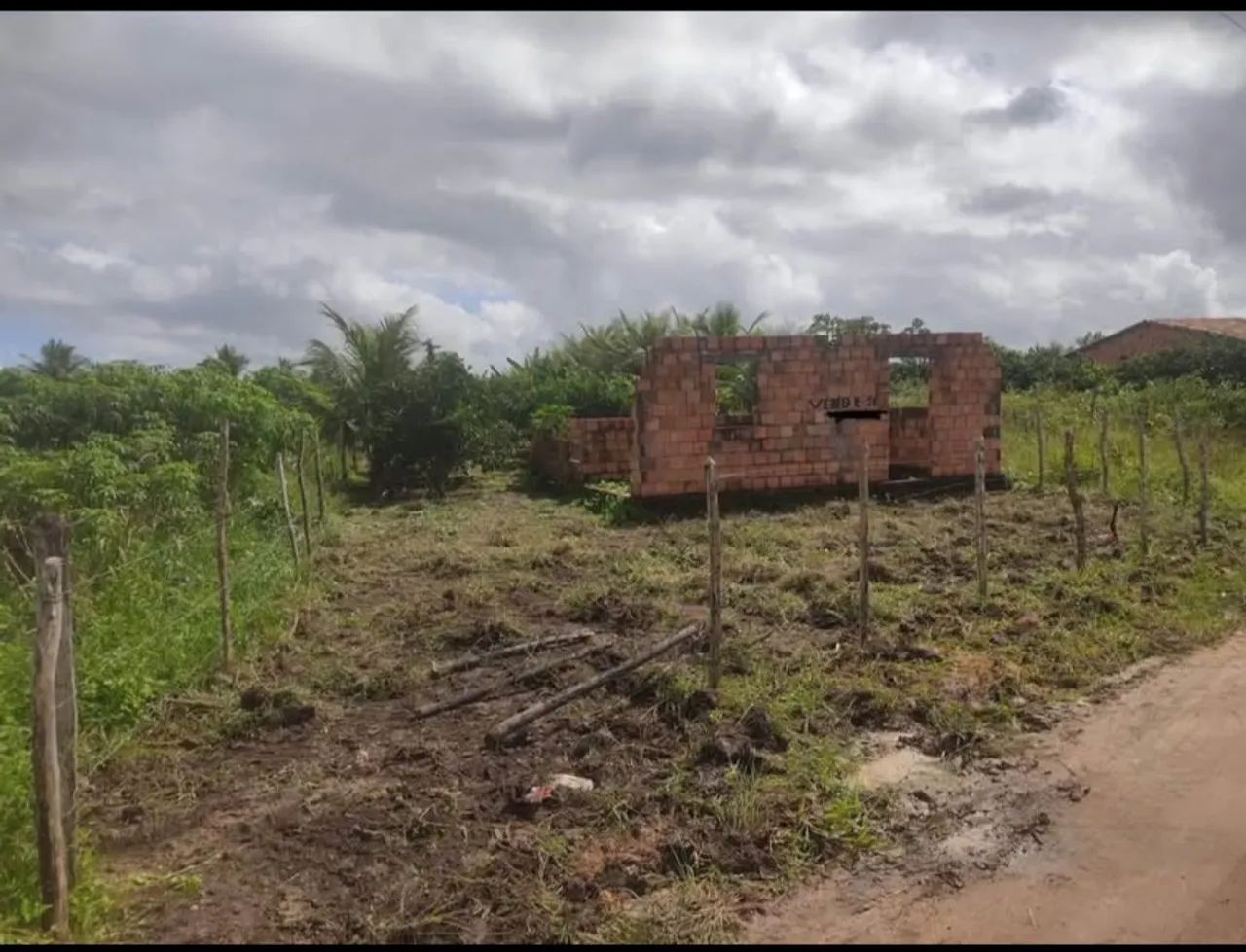 Terreno  - Foto 2