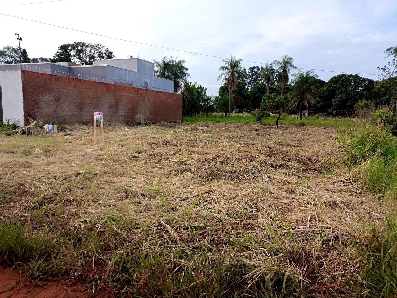 Terreno 15x20 próximo a UCDB  - Foto 2