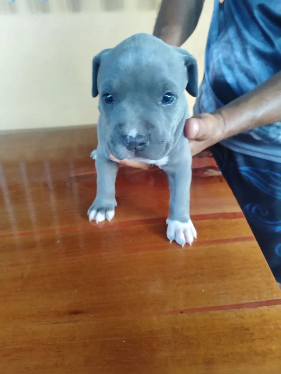 Somente a venda  - Foto 3