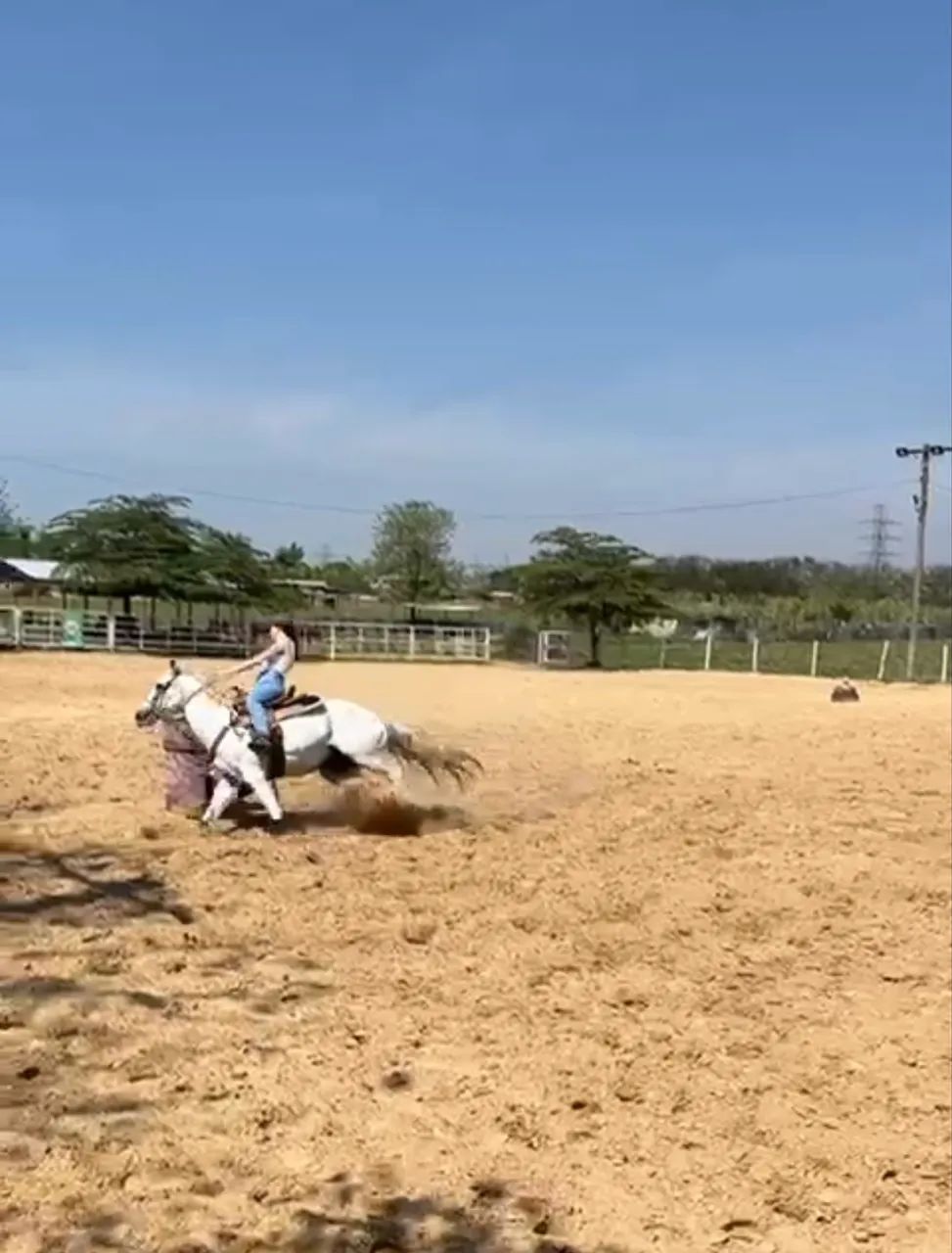 Cavalo Três Tambores   - Foto 6