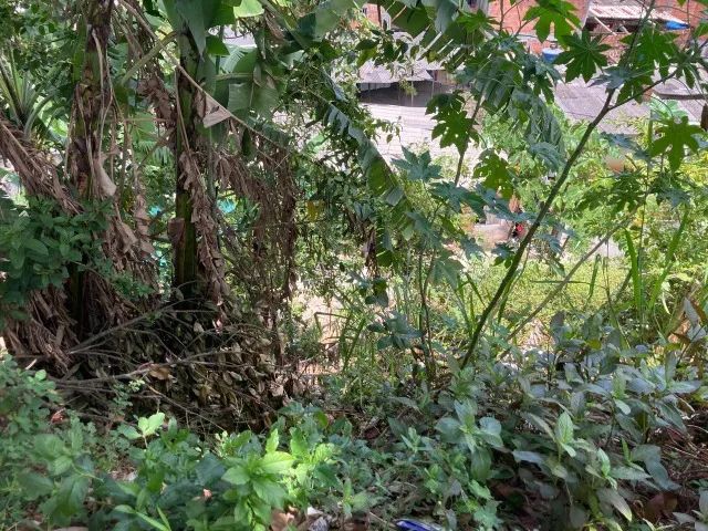Terreno em Paripe - 458m² (Área Total) - Foto 4