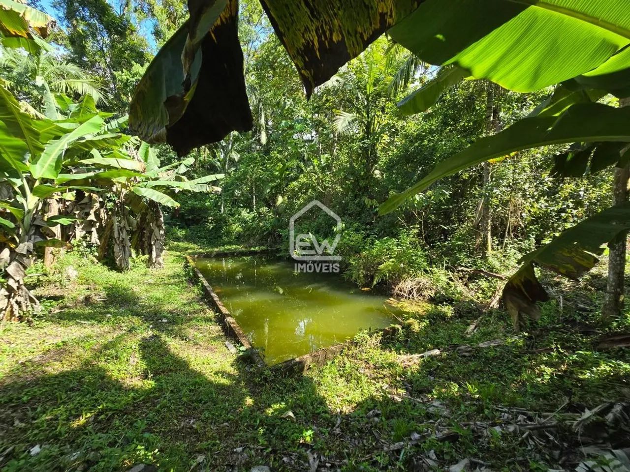 Sítio com Área Total de 33.920m² em Schroeder, SC - Foto 2