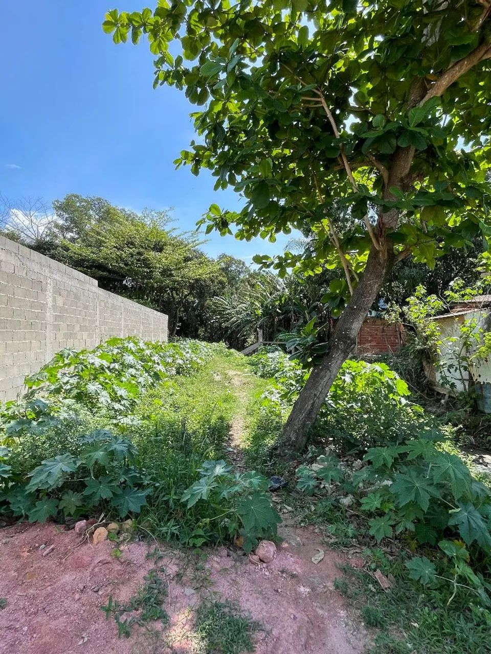 Terreno em Morada da Barra - Foto 5