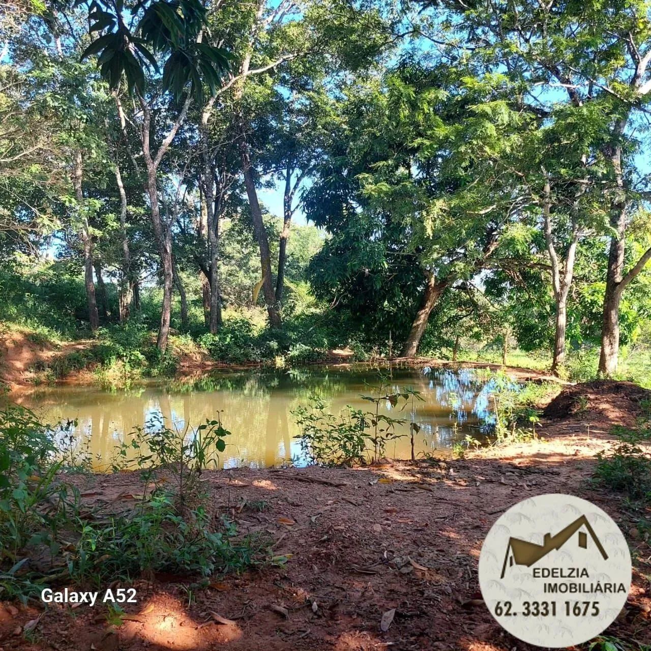 Chacara à Venda Pirenopolis - Foto 8