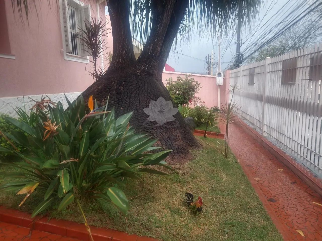 casa - Centro - Atibaia - Foto 2