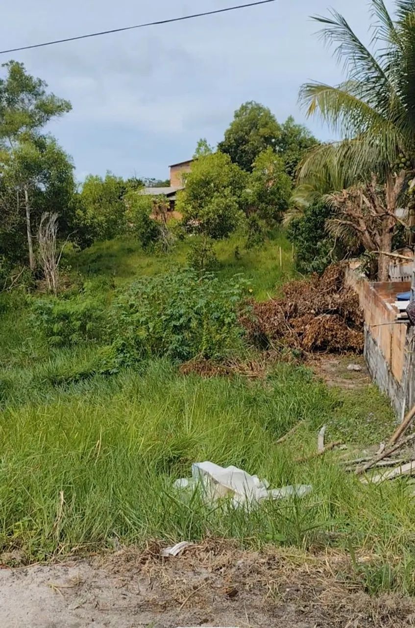 Terreno com alvenaria  - Foto 2