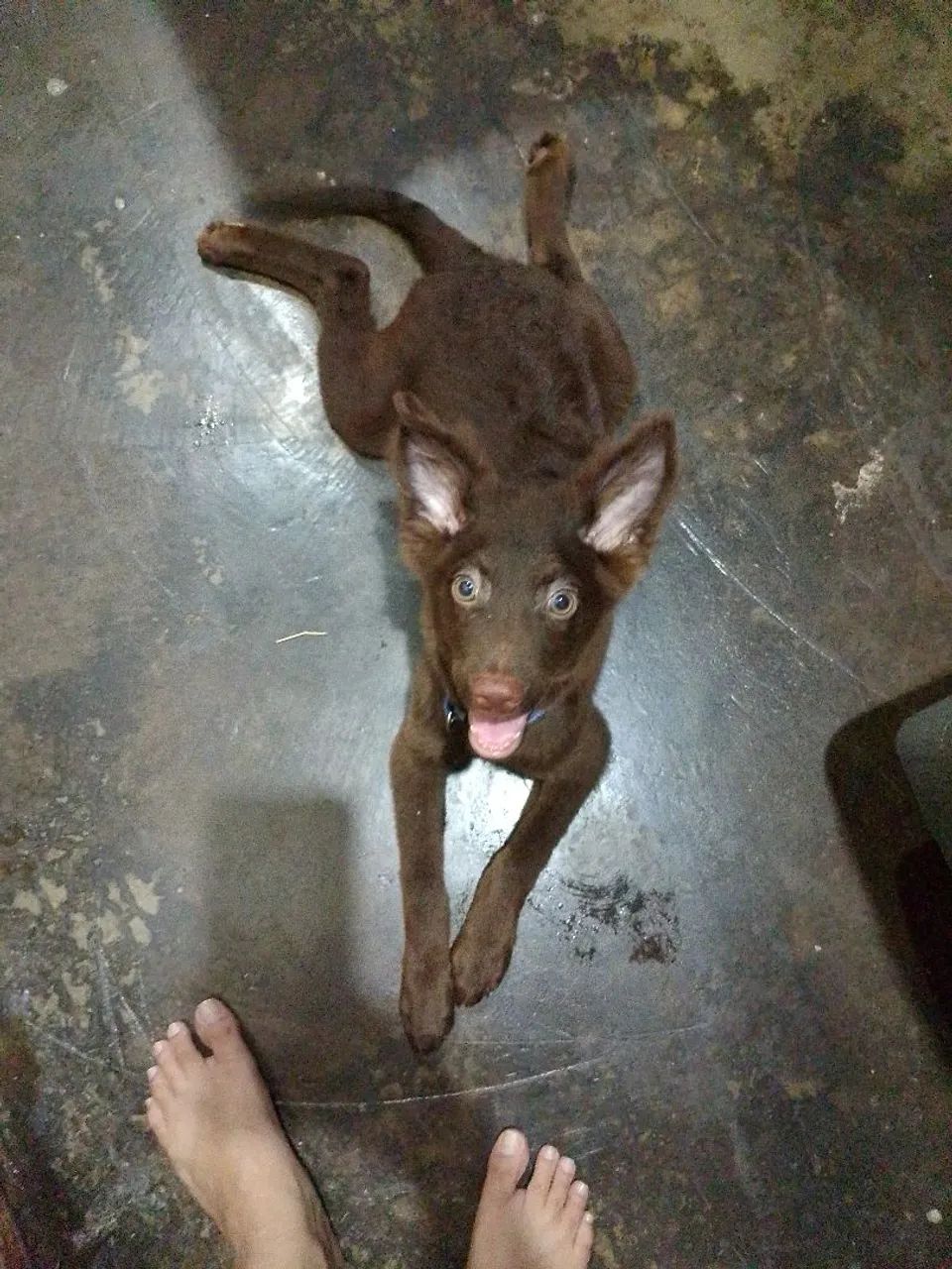 Doação  - Foto 2