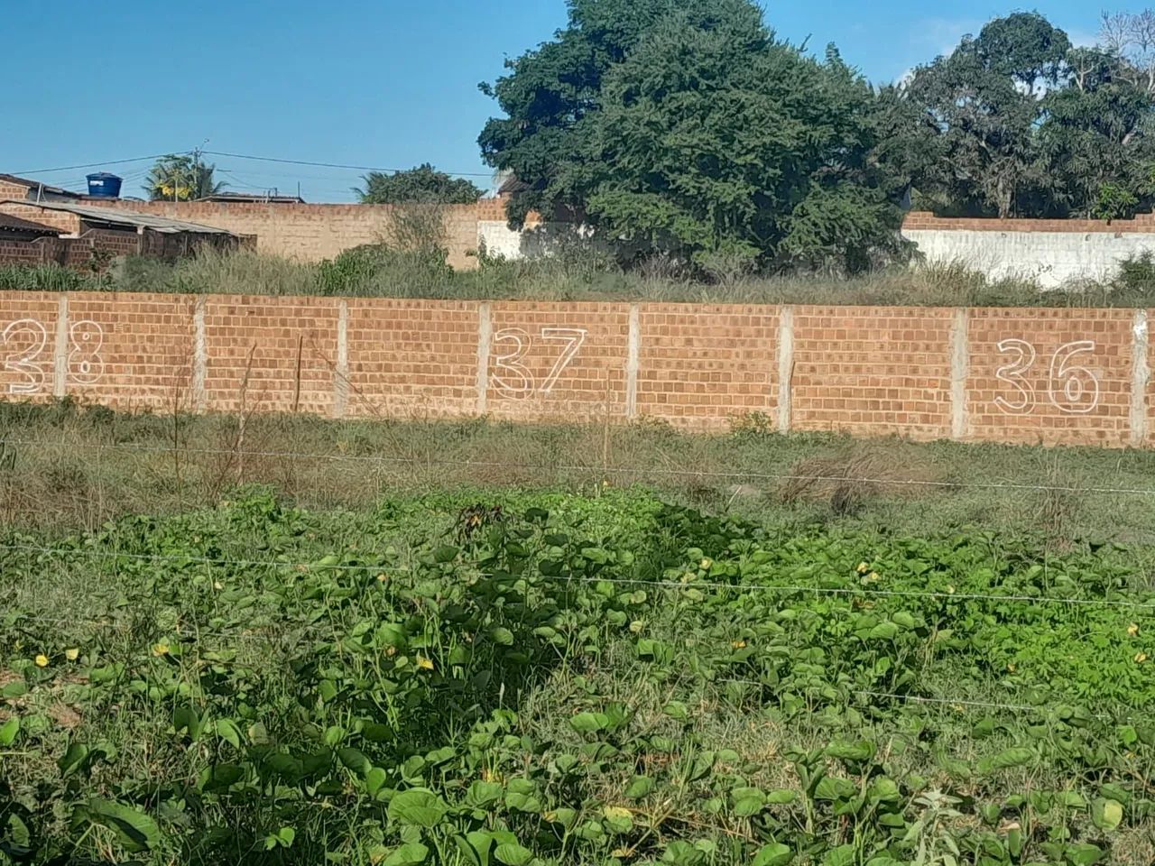 Lotes em Carpina  - Foto 2