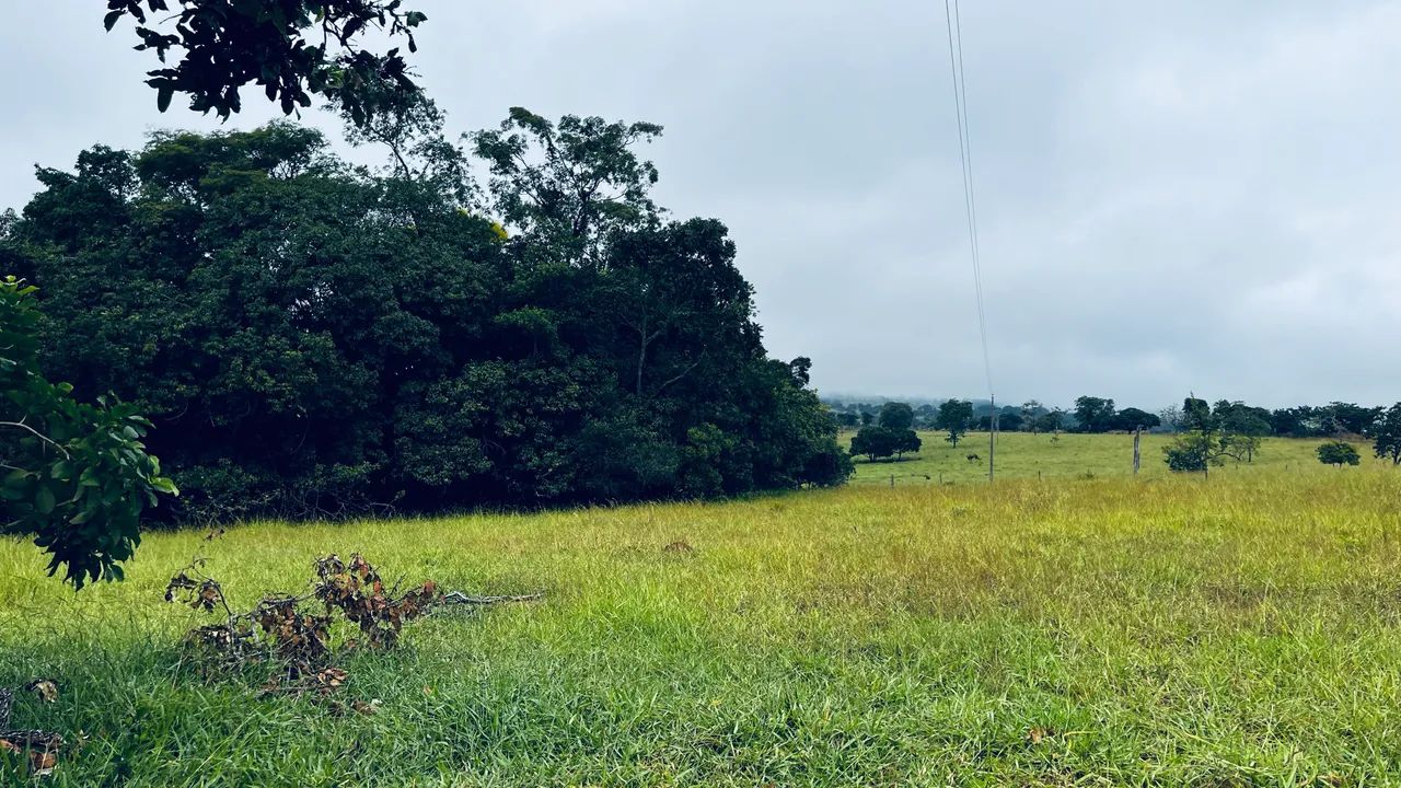 CHÁCARA À VENDA - OPORTUNIDADE - Foto 3