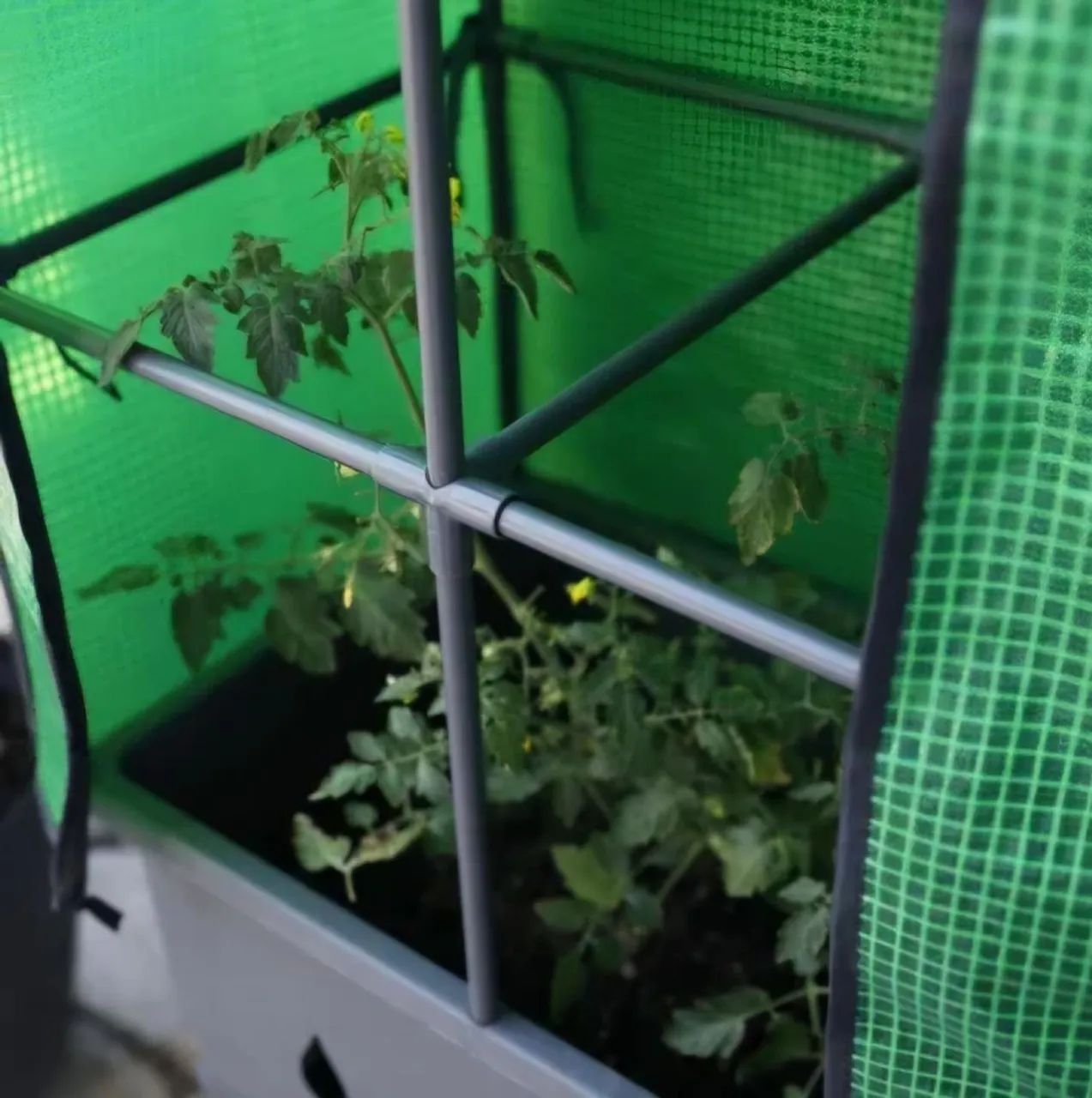 Kit de Horta Estufa Urbana com Suporte Cinza Ergo - Foto 6