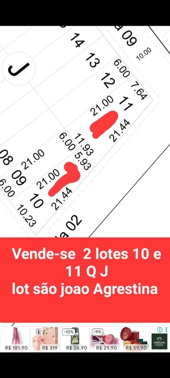 Vende-se terreno na BR em Agrestina  - Foto 4
