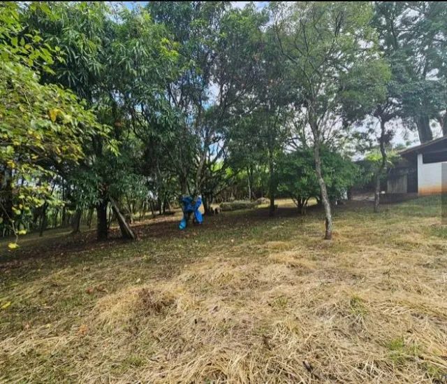 chácara com terreno  - Foto 5