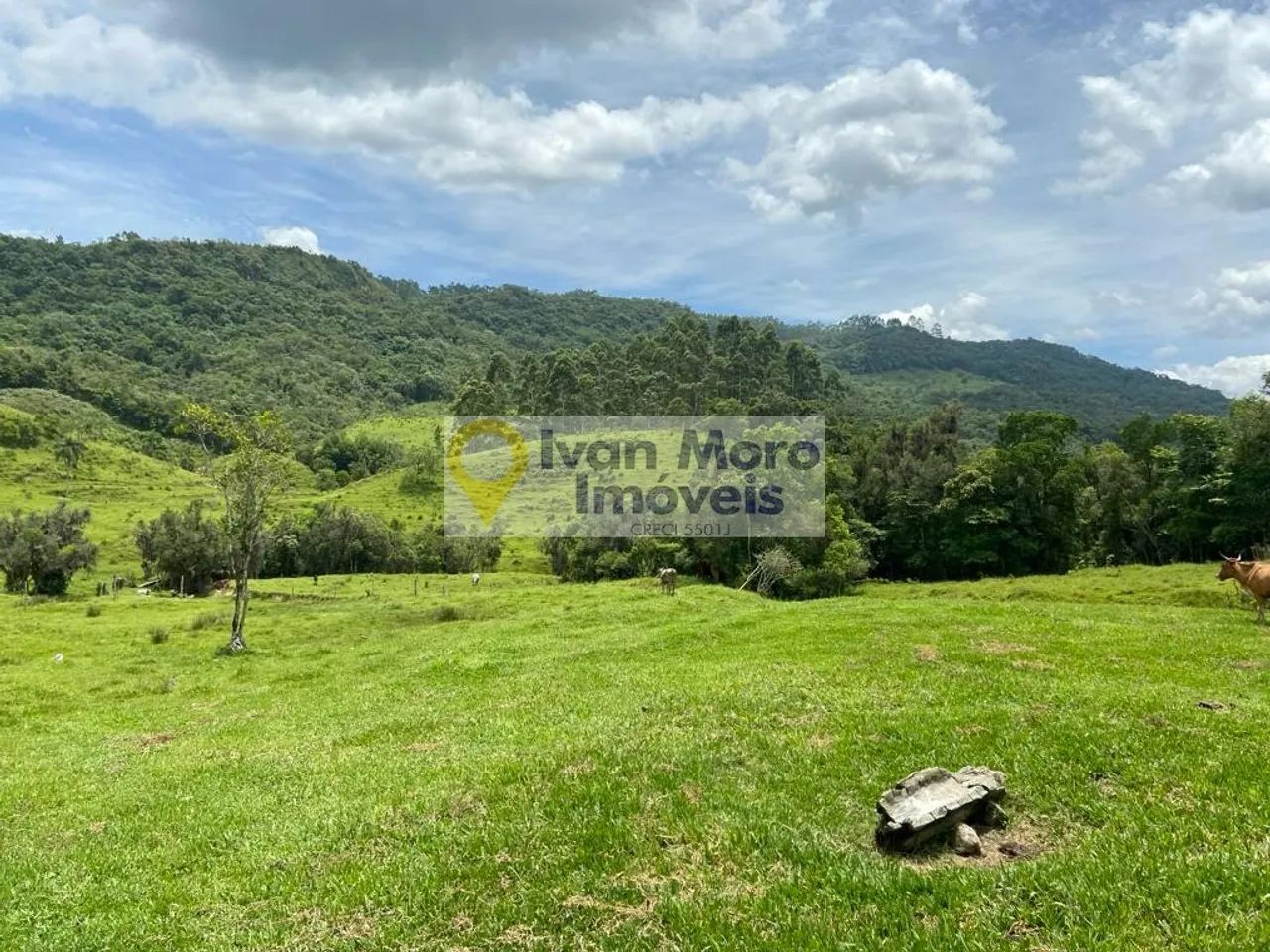 Sítio à venda em Anitápolis - SC