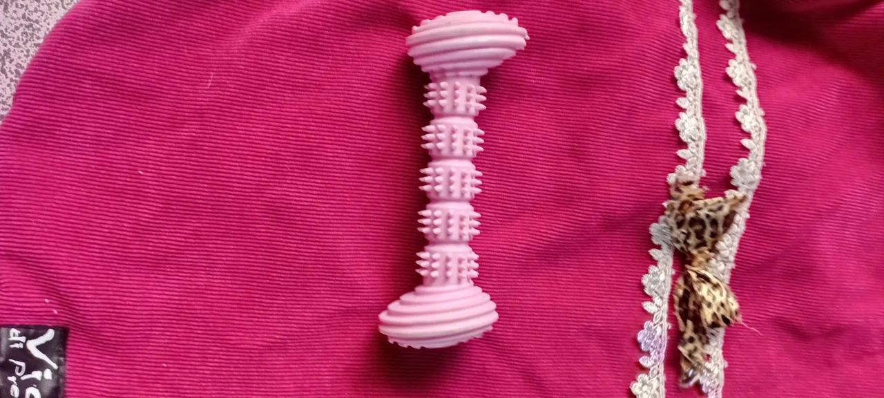 Acessórios para pet - Foto 5