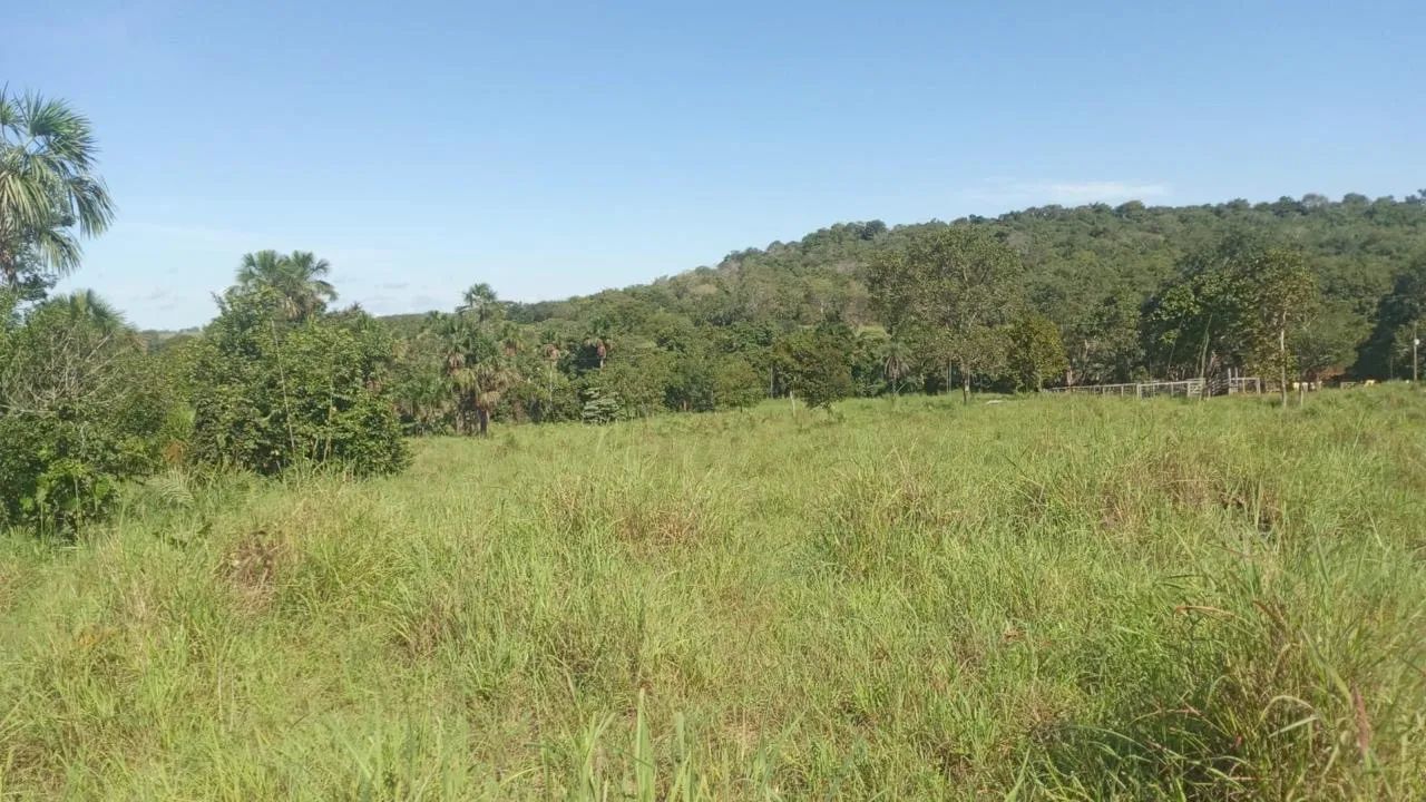 Super oportunidade 23.5 Alq 10 km de Paraíso - Foto 4