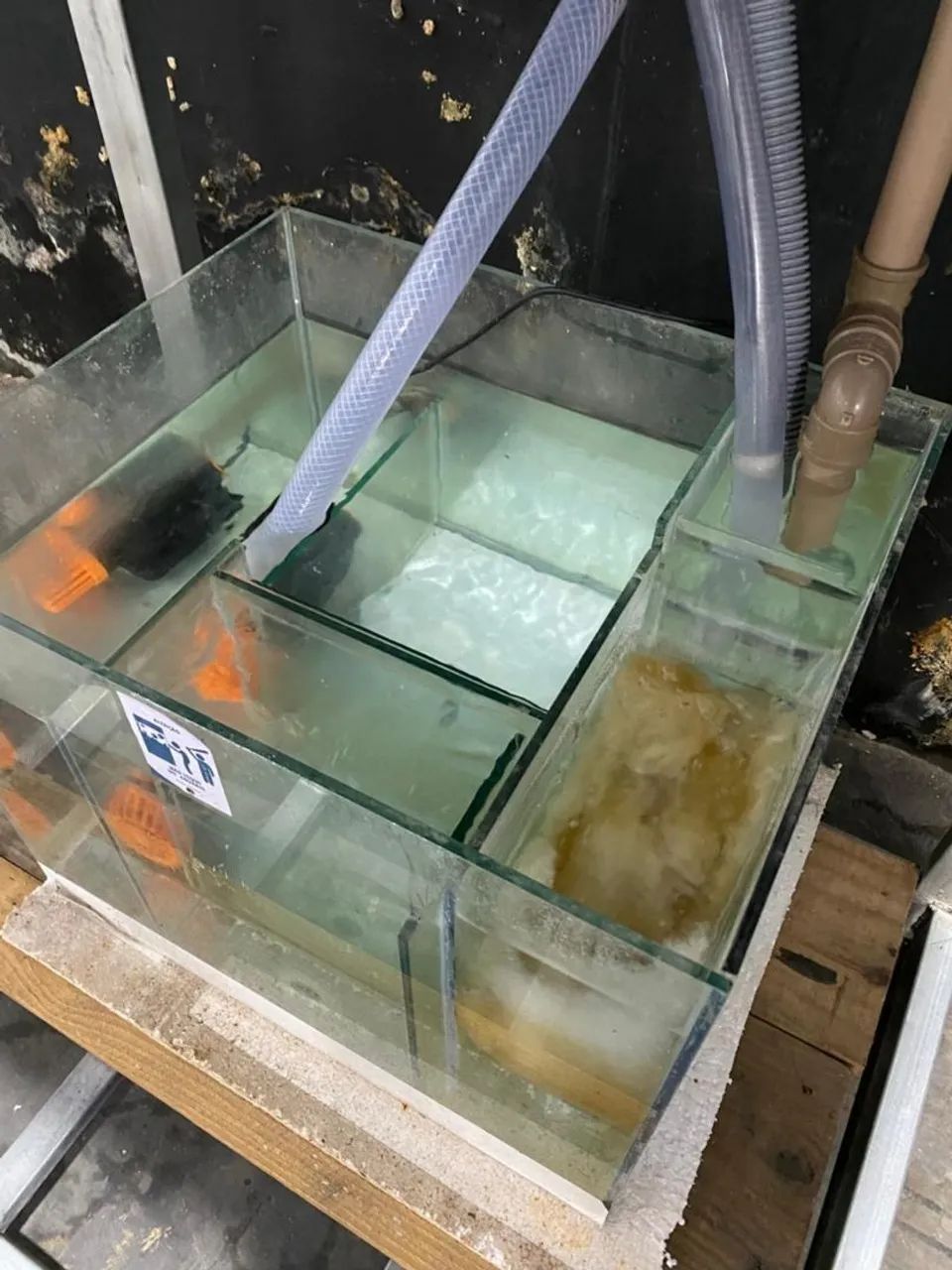 Aquário Completo  - Foto 6