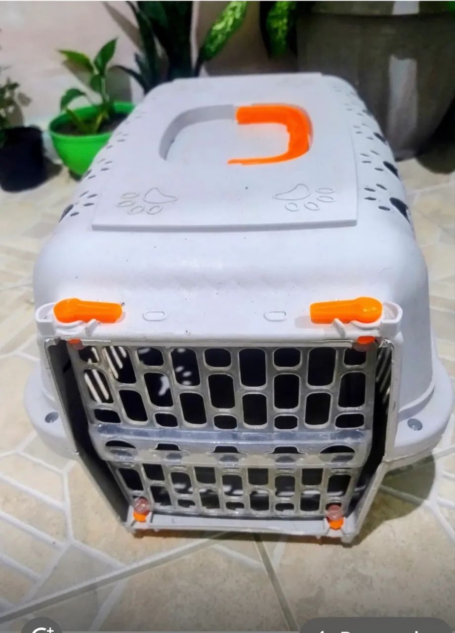 Caixa para pet 