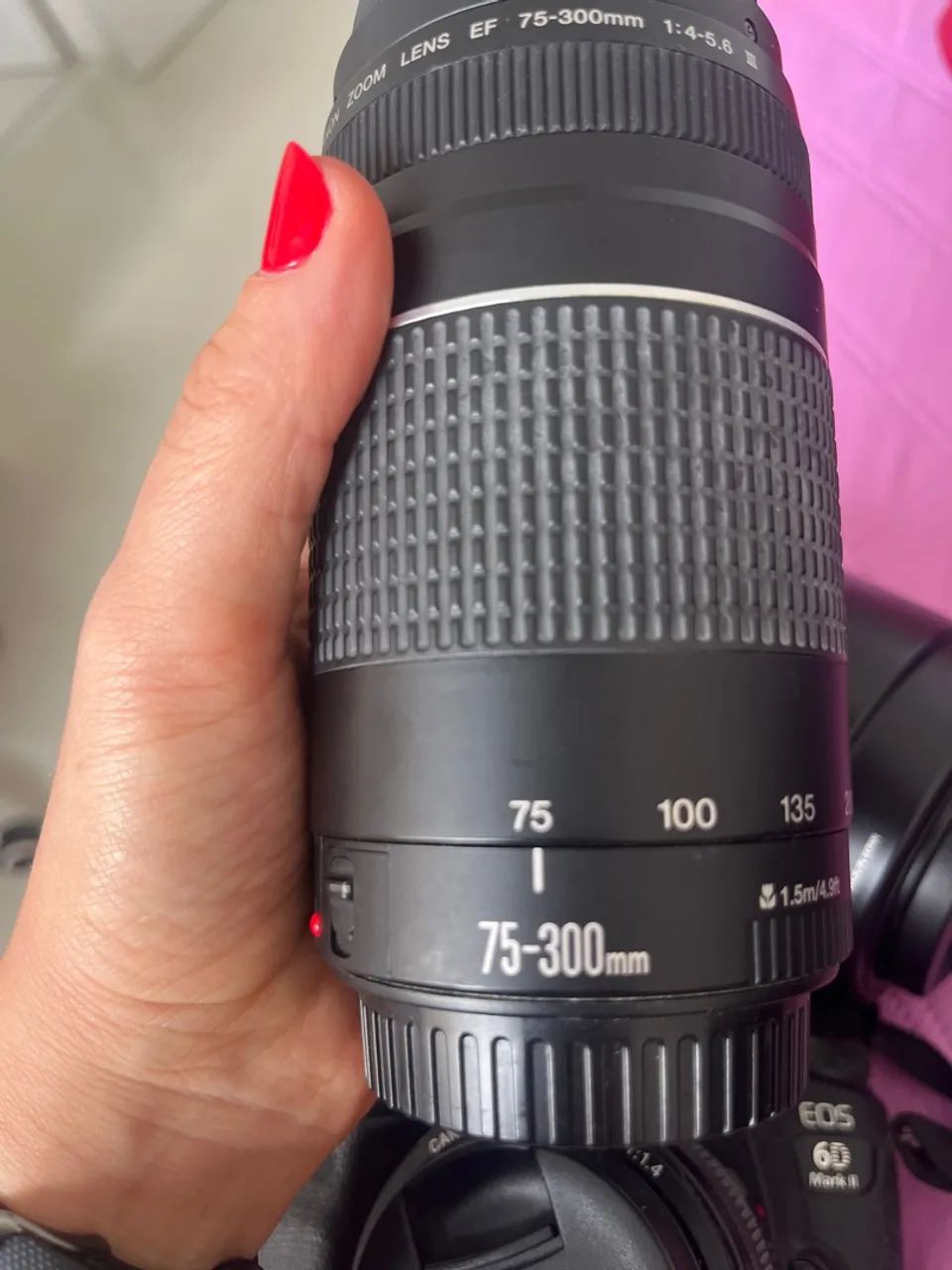 Câmera Cânon EOS 6D markII e conjunto de lentes  - Foto 3