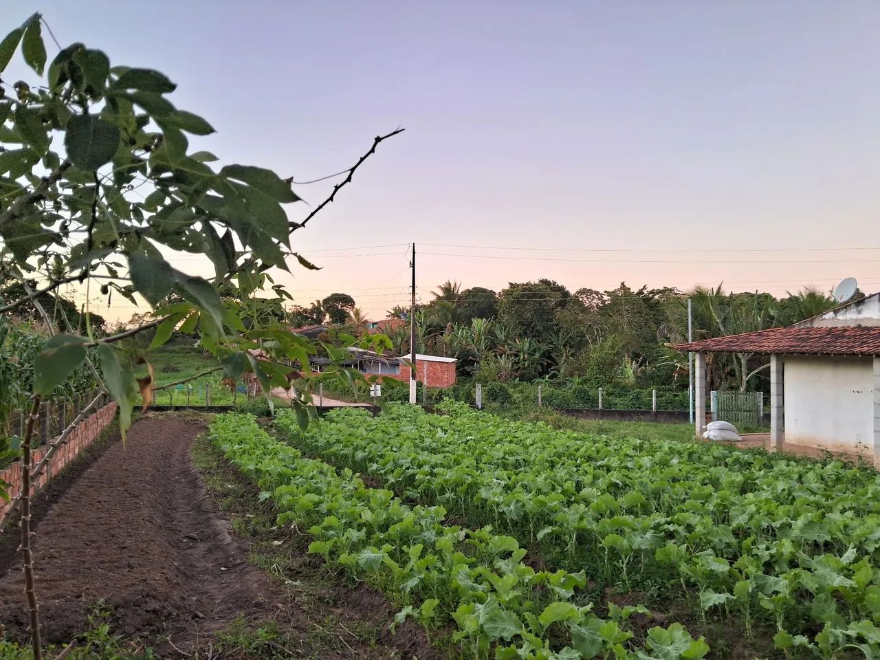Casa com Terreno - Zona Rural de Lagarto  - Foto 3