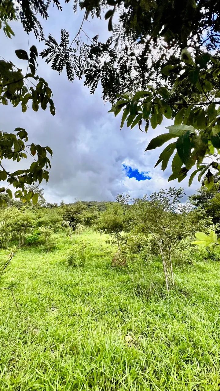 Chácaras, lotes e terrenos em Pirenópolis direto com proprietário! - Foto 3