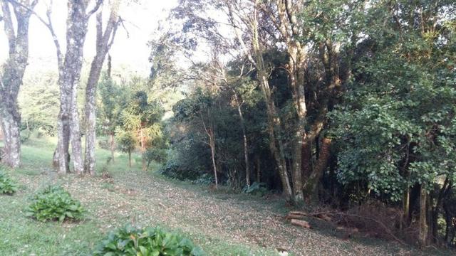 Lindo Sítio na serra Gaúcha!! - Foto 9