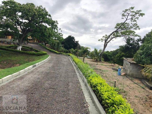 Propriedade em Mandacarú (Cód.: 31da83) - Foto 19