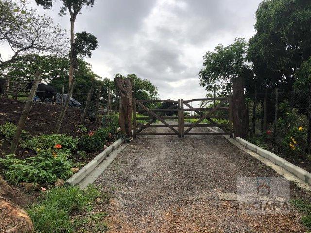 Propriedade em Mandacarú (Cód.: 31da83)