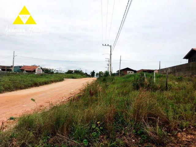 Terreno à venda, 600 m² por r$ 170.000,00 - itajuba - barra velha/sc - Foto 7