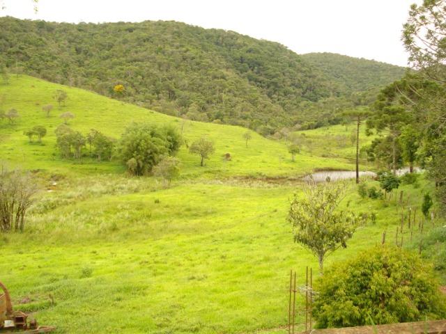 Alugo Fazenda em Liberdade MG - Foto 3