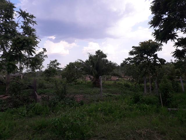 Sítio muito barato - Foto 2