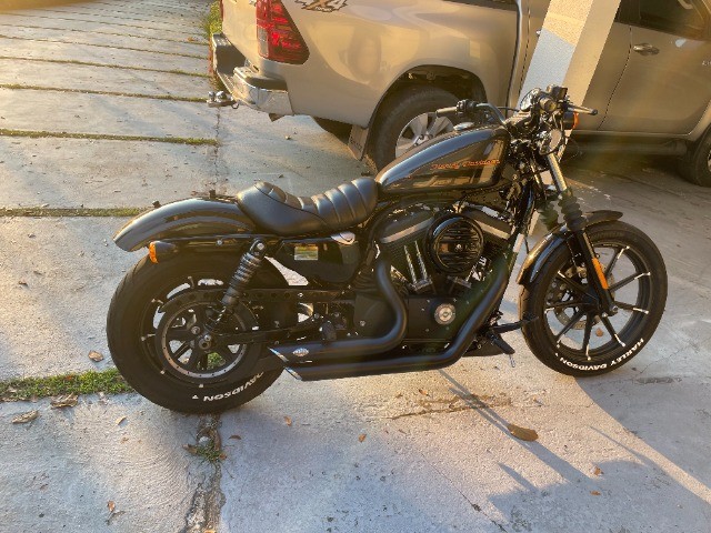 IRON 883 HARLEY DAVIDSON
