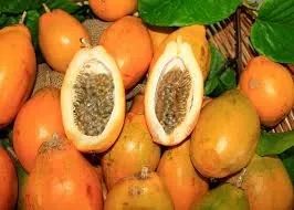 Mudas de Nativas do Cerrado, Frutíferas e Raras - Foto 6