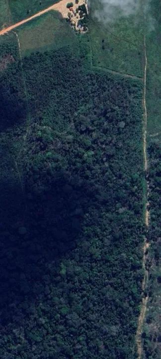 Moura Gestor Imobiliário Vende uma excelente área com 98ha na Rodovia BR 163, km 119, Mo