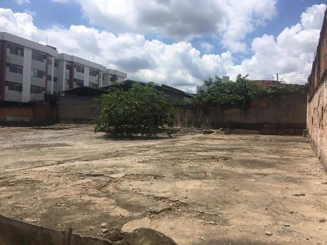 Lote-Área-Terreno para aluguel, Calafate - Belo Horizonte/MG - Foto 2