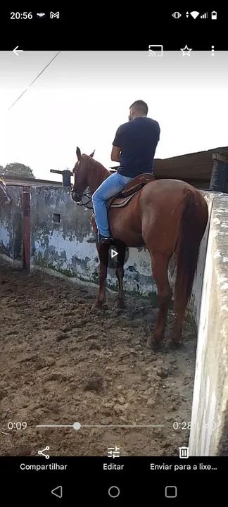 Cavalo de direita 