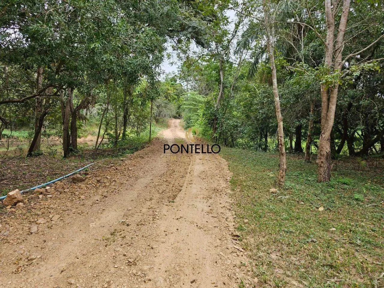 Fazenda no Brejinho - Foto 3