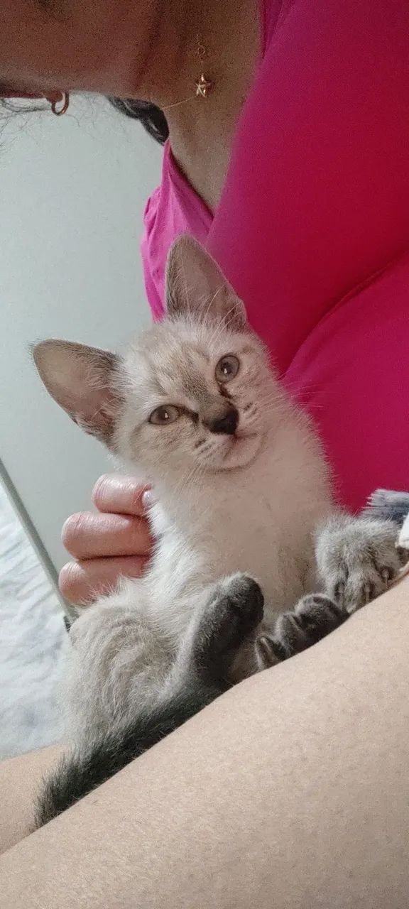 Bebê resgatado ADOTADO  - Foto 3