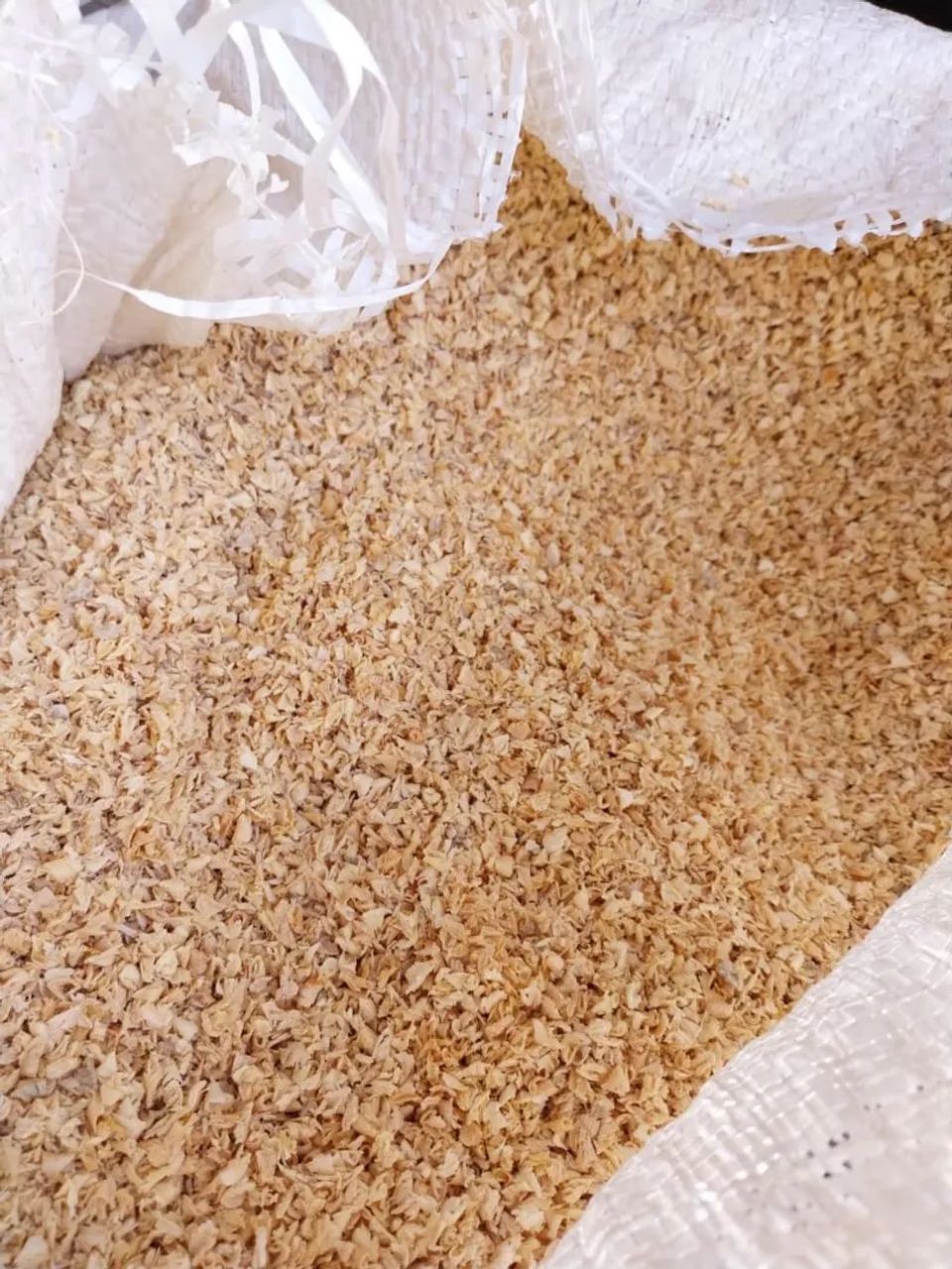 Madeira e serragem - Foto 2