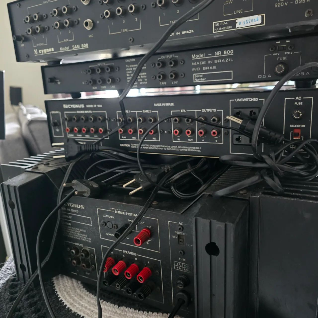 Cygnus modulado - Foto 4