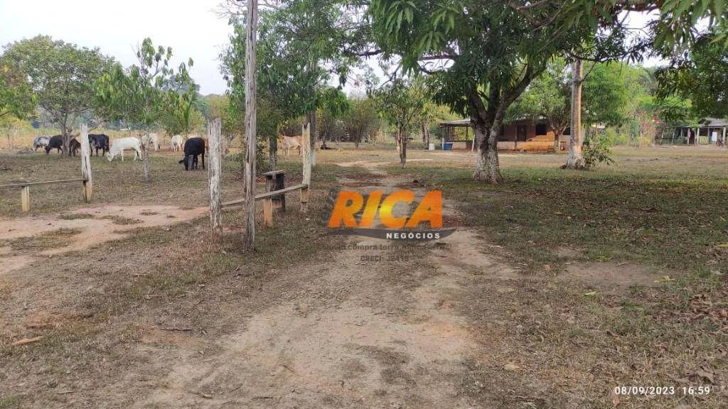 Sítio à venda, 250000 m² por R$ 750.000,00 - Área Rural de Porto Velho - Porto Velho/RO - Foto 4