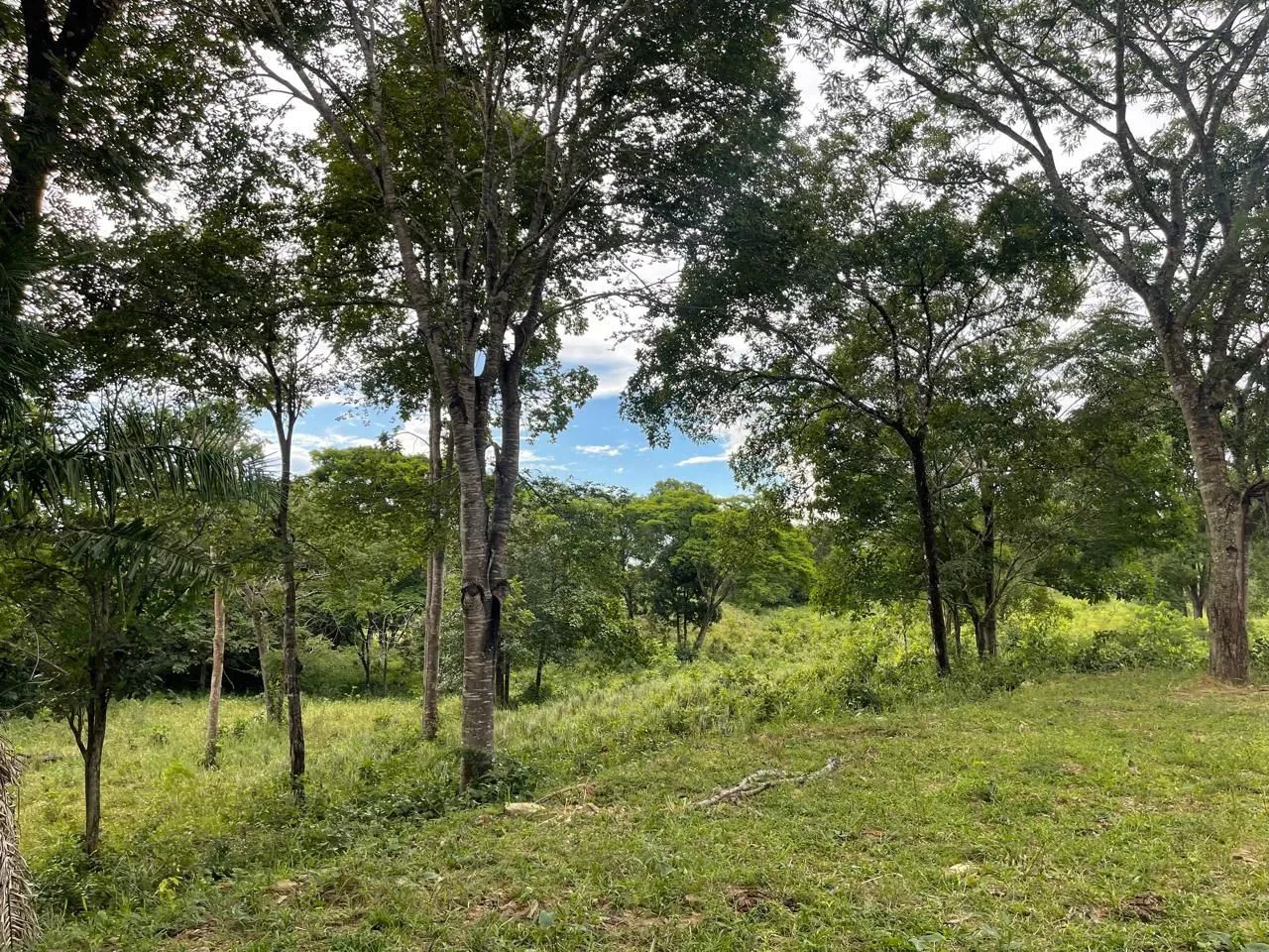 Ótima ch ácara (oportunidade) - Foto 2