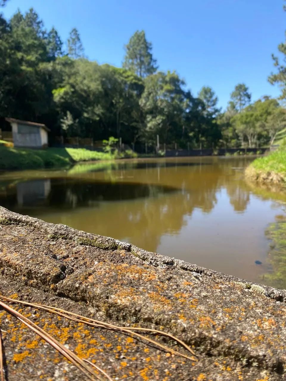 Negocie direto com o Proprietário: Terreno em Ibiúna com Preço Acessível! - Foto 2