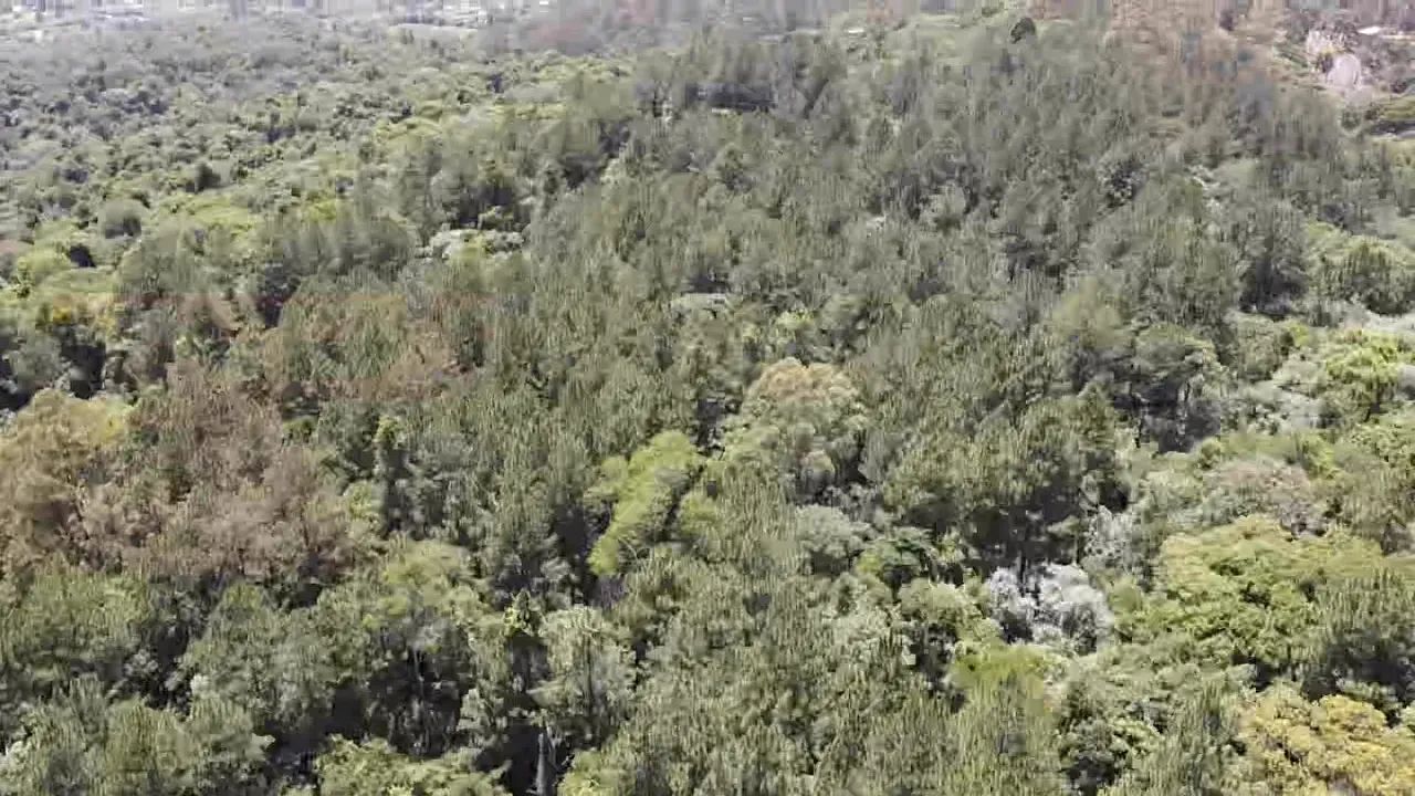 Terreno de 1000m² em São Roque  Seu Refúgio na Natureza com Estrutura Completa! - Foto 5