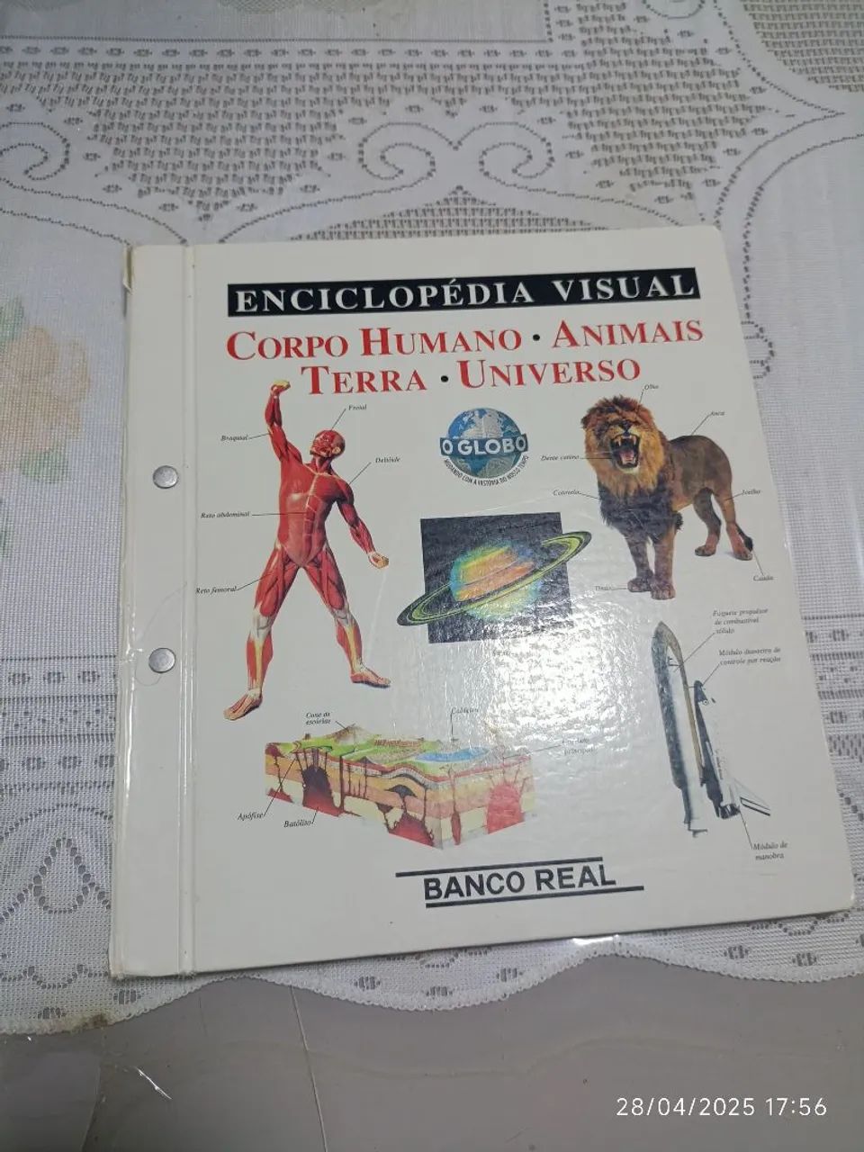 Enciclopédia Visual Corpo Humano, Animais, Terra e Universo