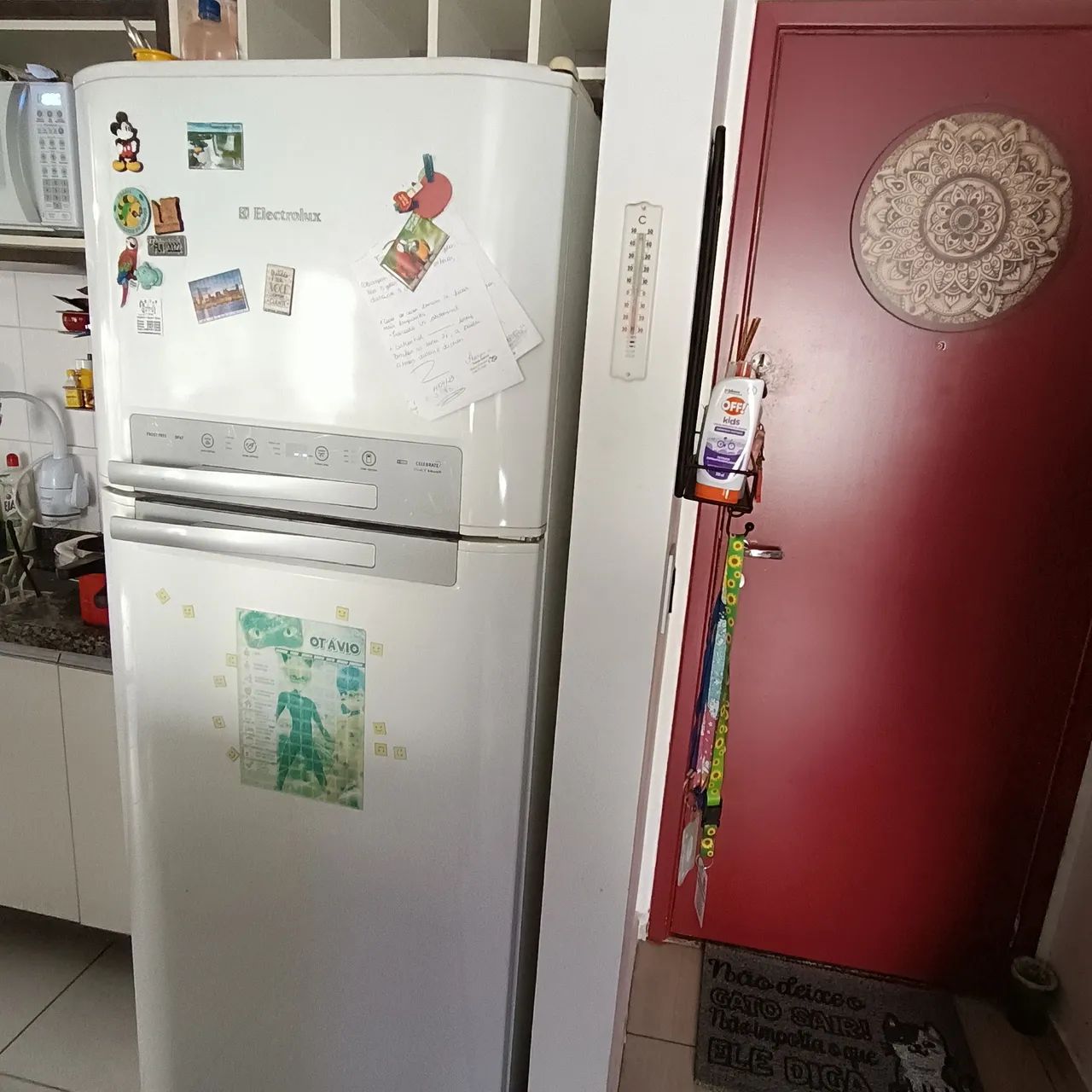 Geladeira Electrolux df47 - Foto 2